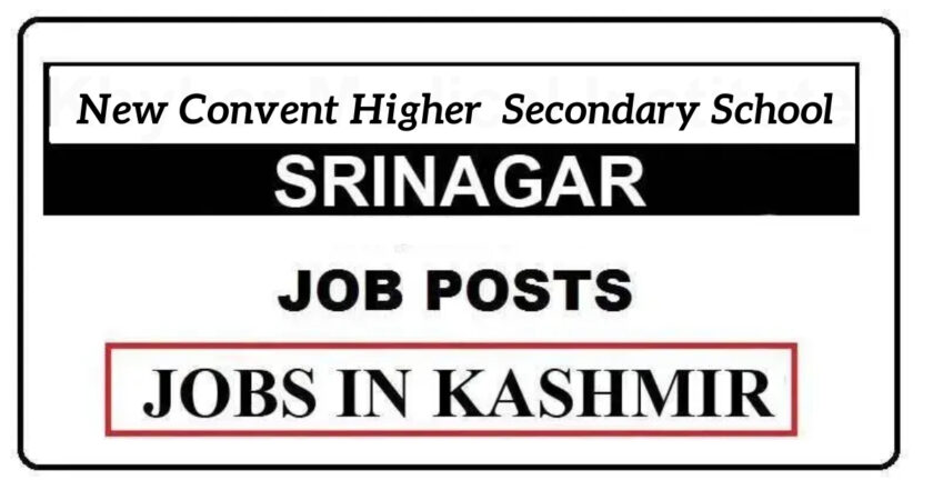 New Convent Higher Secondary School Srinagar Jobs Recruitment 2021