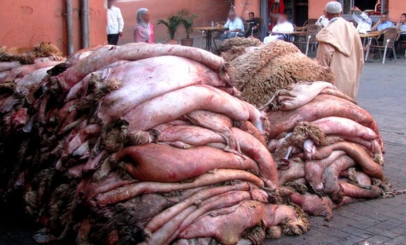 Eid-ul-Adha: SMC Orders Against Throwing Animal Skin In Public Spaces, Violators To Be Fined.