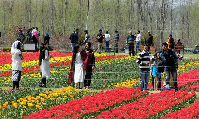 Asia’s Largest Tulip Garden All Set To Welcome Visitors from March 19￼