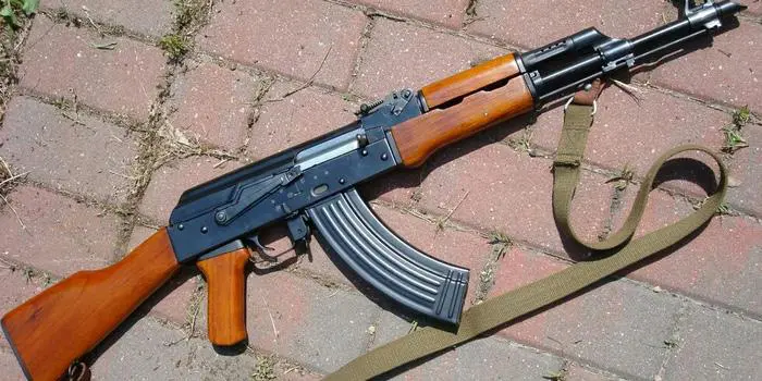 Weapon snatching bid foiled in Budgam, police seek help to identify attackers
