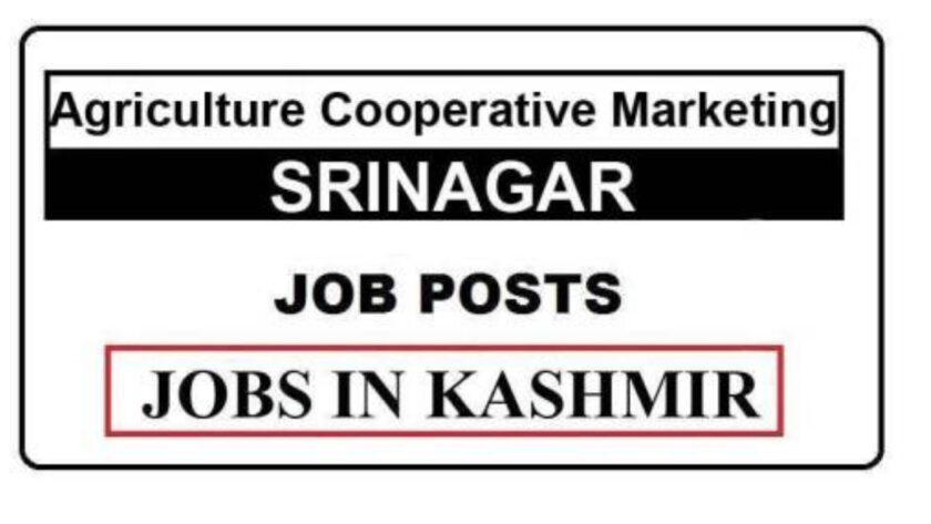 Agriculture Cooperative Marketing Srinagar Job Recruitment 2021