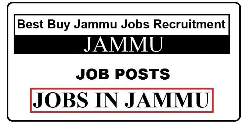 BEST BUY Electronic Jammu Jobs Recruitment 2021
