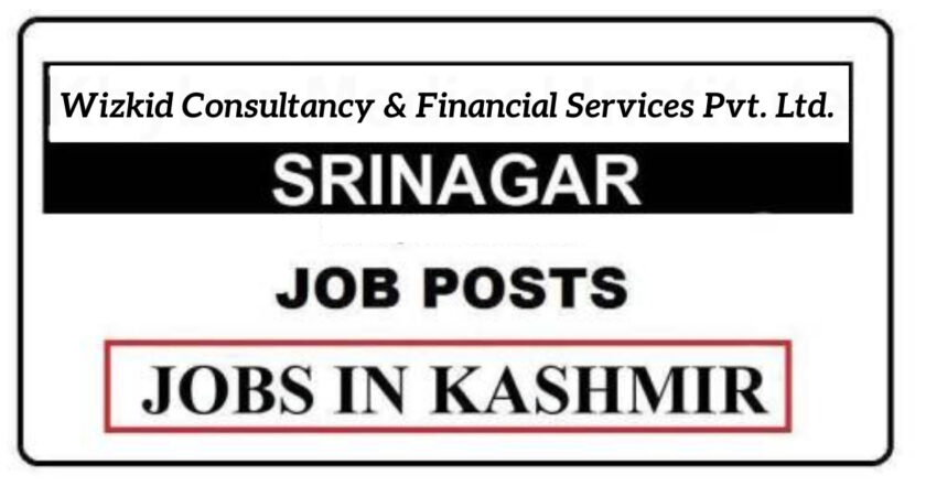 Wizkid Consultancy & Financial Services Pvt. Ltd. Srinagar Jobs Recruitment 2021