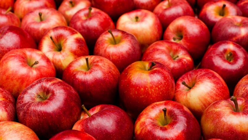 Worry as Kashmiri Apple Rates decline by 20% in Indian markets.