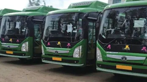 buses