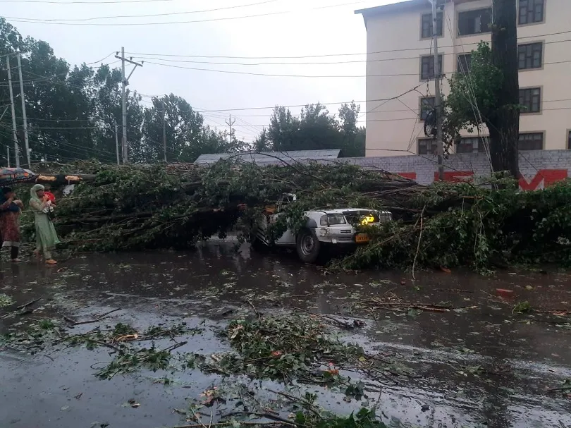 Amid Heavy Rains, 2 Critically Injured As Tree Falls On Load Carrier In Bemina, Srinagar.￼