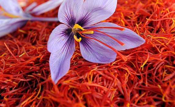 J&K Admin Signs MoU With Sikkim Government For Exchange Of Knowledge On Saffron Cultivation.