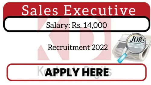 Sales Executive Recruitment 2022. Kashmirdigits