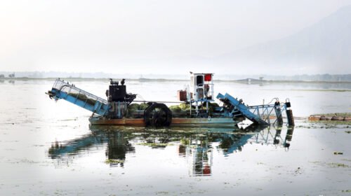 dal lake cleaning