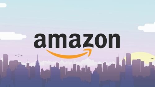 Amazon kashmirdigits