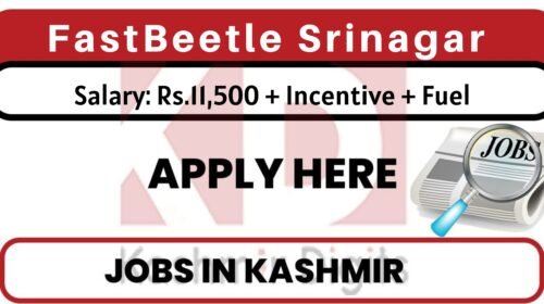FastBeetle Srinagar Job Recruitment 2022. kashmirdigits