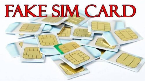 fake sim card case