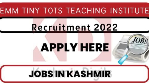 EMM TINY TOTS TEACHING INSTITUTE RECRUITMENT 2022. kashmirdigits