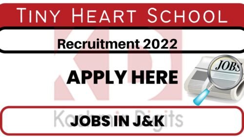 Tiny Heart School J&K Job Recruitment 2022 Kashmirdigits