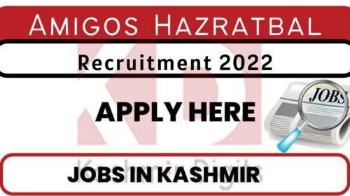 Amigos Hazratbal Jobs Recruitment kashmirdigits