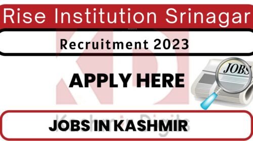 Rise Institution Srinagar Kashmirdigits