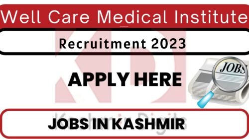 Well Care Medical Institute Jobs Recruitment 2023 Kashmirdigits