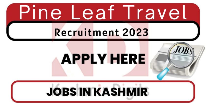 Pine Leaf Travel Srinagar Jobs Recruitment 2023