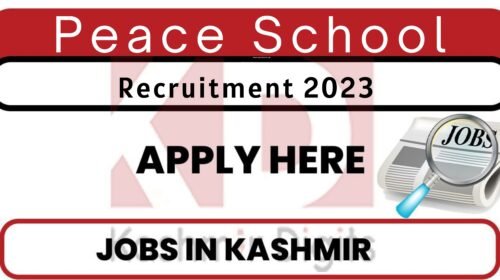 Peace School Budgam Jobs Recruitment 2023 Kashmirdigits