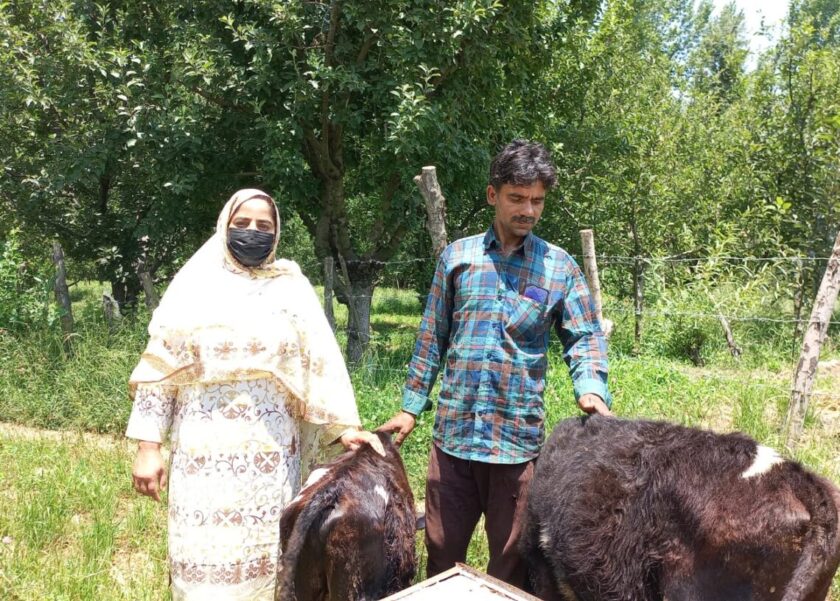Anantnag woman says she became financially independent in just two years after starting dairy farm